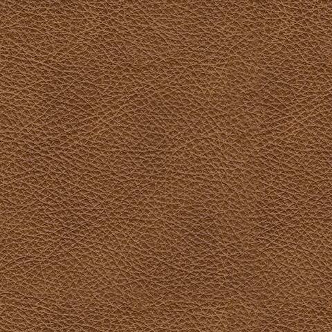 Carianna Queen Sofa Sleeper