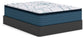 Limited Edition Plush PT 3.0 Queen Mattress