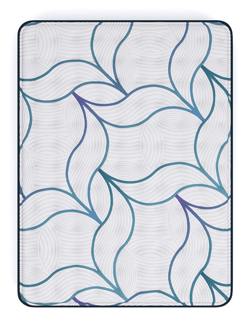 Limited Edition Firm 3.0 Queen Mattress